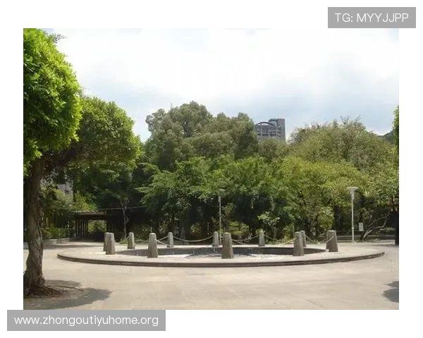 北投体育公园的环境优美与自然景观拍摄最佳时机分析